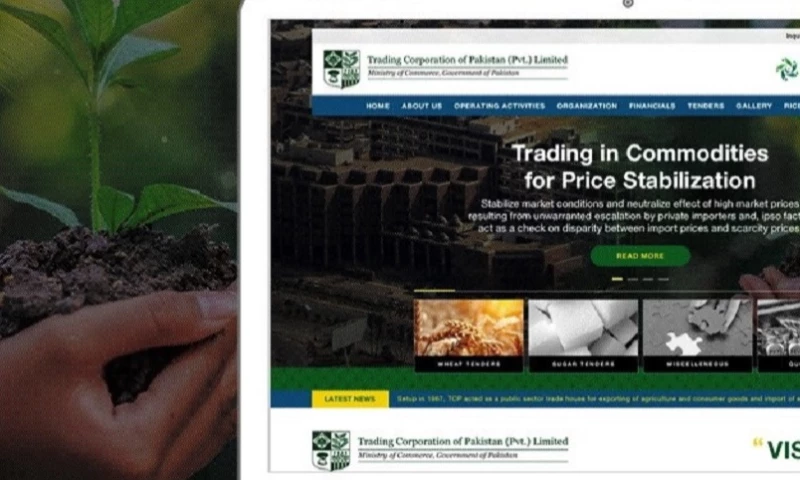 Interactive Media - Trading Corporation of Pakistan