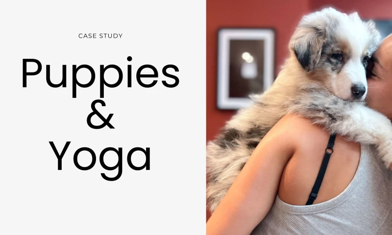 Puppies&Yoga USA Brand Optimization