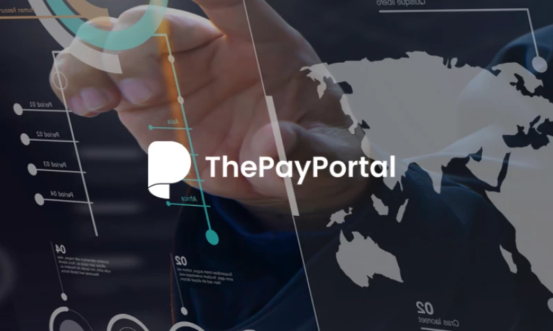 Content & Concept - The Pay Portal