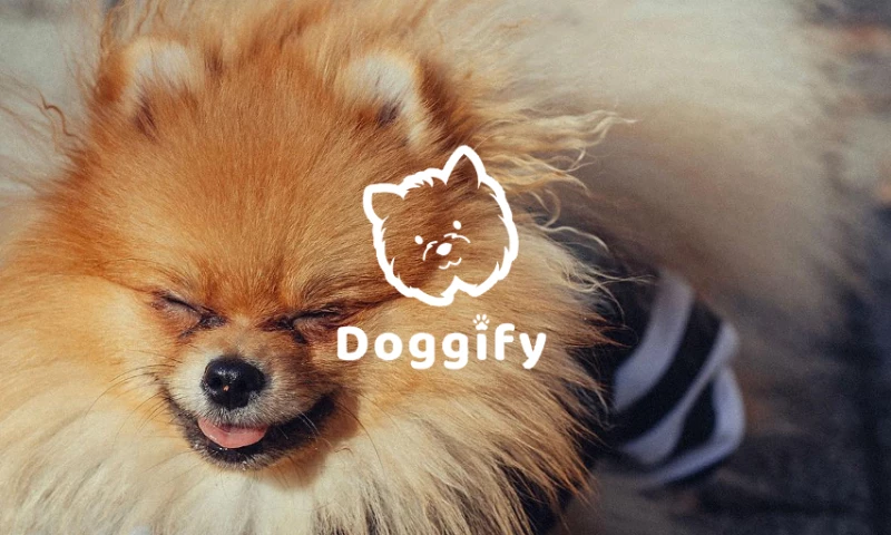 Content & Concept - Doggify