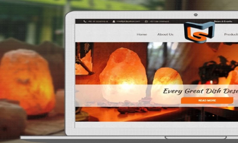 Interactive Media - MSALT