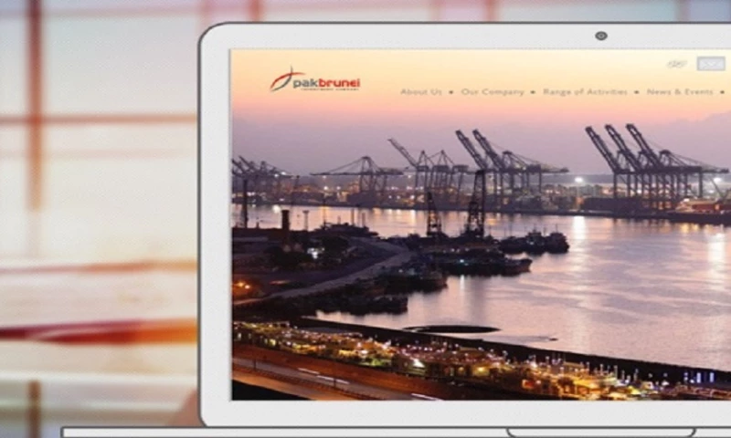 Interactive Media - Pak Brunei Investment Company