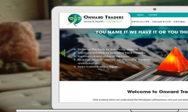 Interactive Media - Onwards Trader