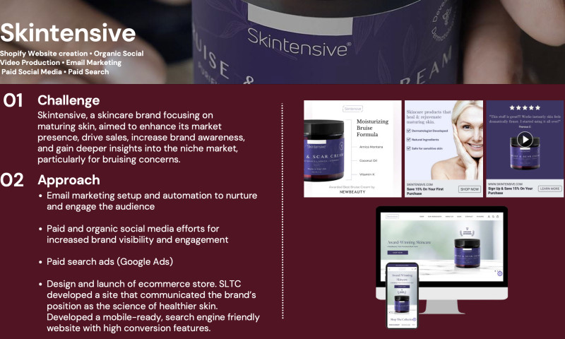 SLT Consulting - Skintensive