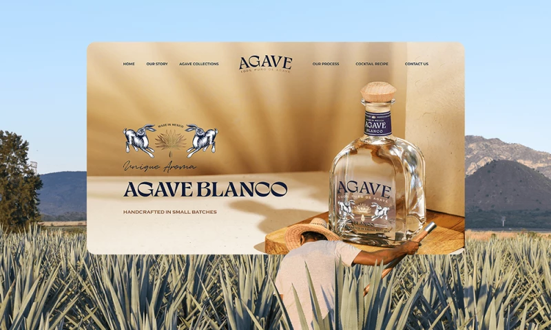 Imagio Creations - Agave