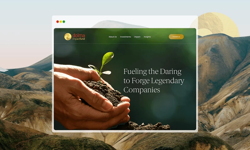 Imagio Creations - Dolma Fund Management