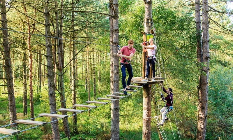 RevWise Ltd - Achieving +22% increase in bookings YoY for Go Ape