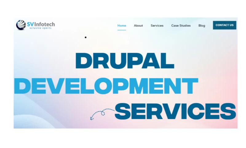 Arnox Web LLP - SV Infotech