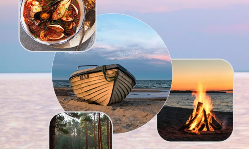 Evoquesys - Bagda Royal Orbit