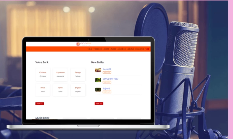 W2S Solutions - VOICcEeSTORE