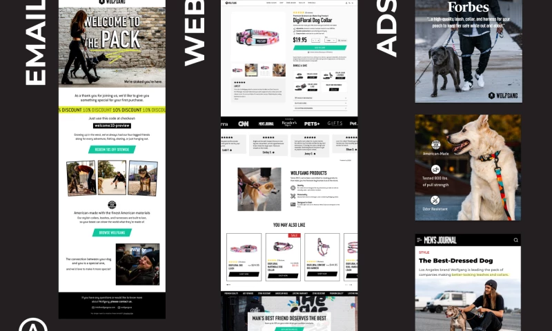 Algofy - Optimizing Customer Journeys: From Eye-Catching Ads to Long-Term Loyalty