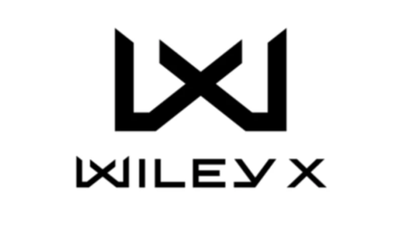 WileyX Paid Media Excellence