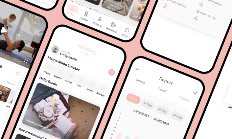 Netro Systems Ltd - Edenberry- Portpartum App