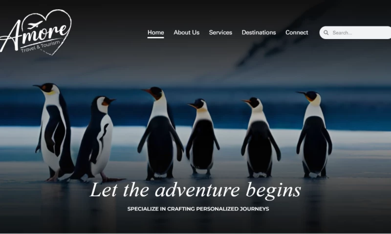 Soharon Infotech - Amore Travels