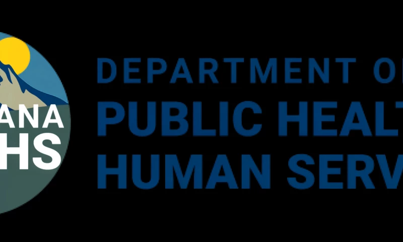 Custom Software Development for SaaS Company