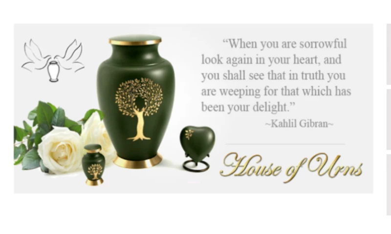 SEO Site Audit Corrections