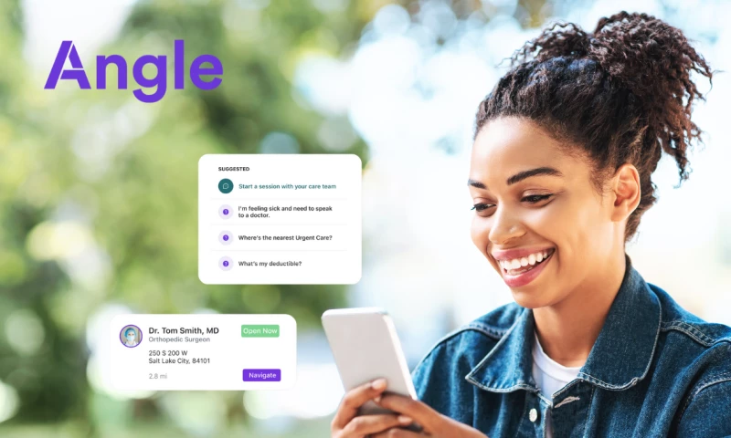 Web Application Development and Software Staffing