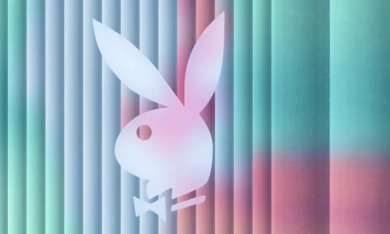 Website Management & Marketing