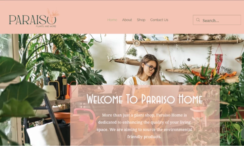 Psyop Incorporation - Website Design for Paraiso Home