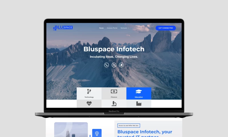 Insanity Saint Designs - Website Development Project done for an Incubator Company