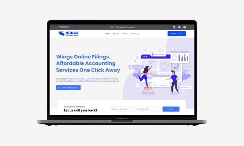 Insanity Saint Designs - Website Development Project done for an Online Filing Firm