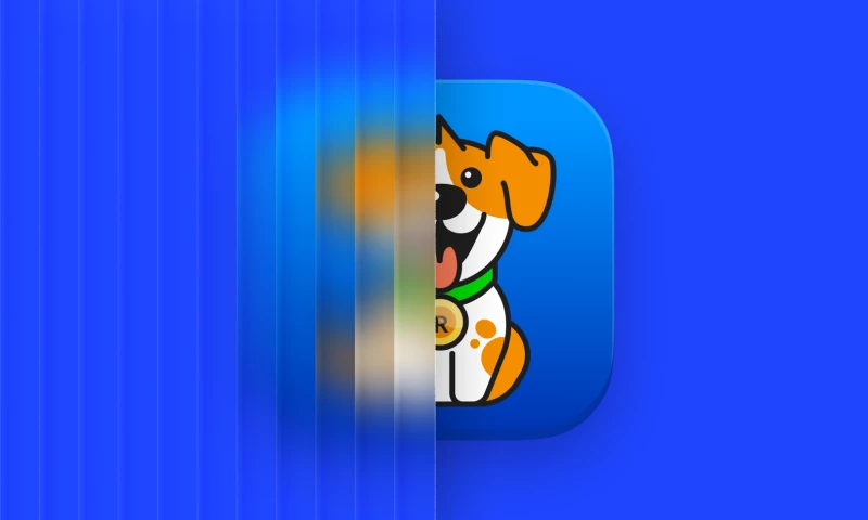 Lepshey - Branding, Website and Mobile App for an Indian Finance Сompany