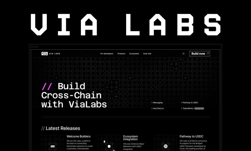 IXD Büro - VIA Labs | Scaling across cross-chain development