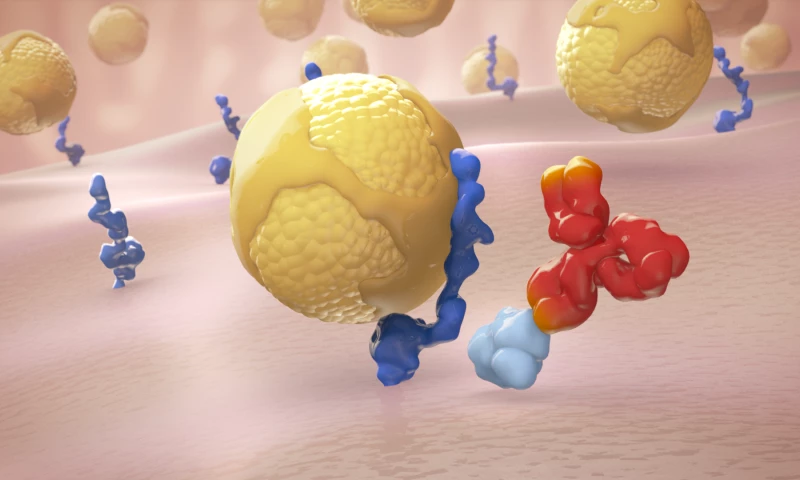 Cholesterol Regulation Mechanism of Action Animation