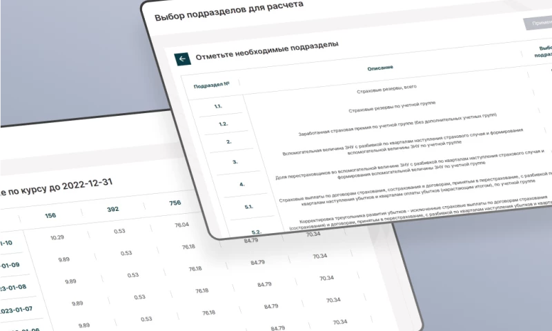 ItFox - Development of an automation system for calculating insurance reserves