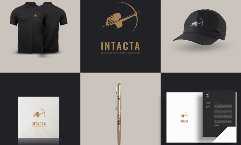 BluePixel - Intacta - Branding