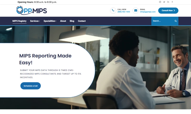 P3 Healthcare USA - QPPMIPS