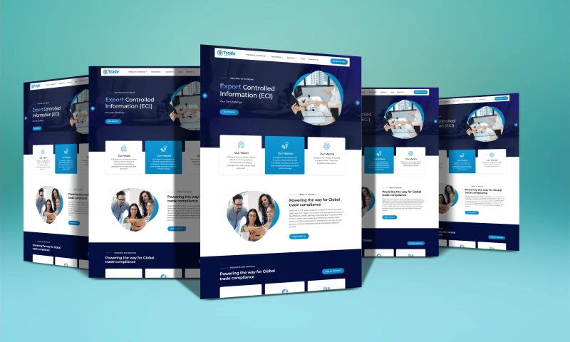 Business Website Design & Development for TCEngine