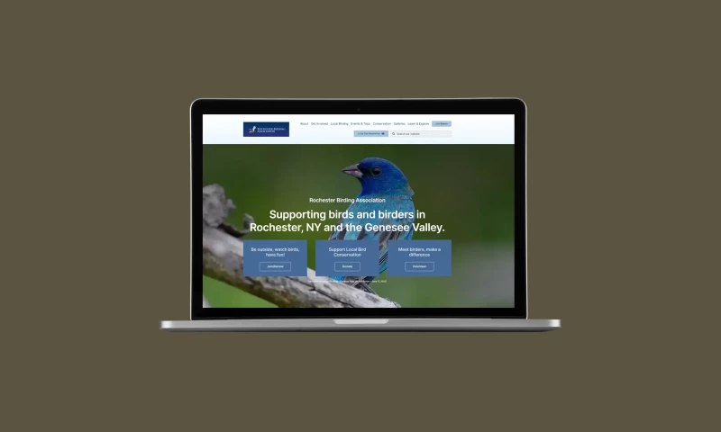 Social Association Website