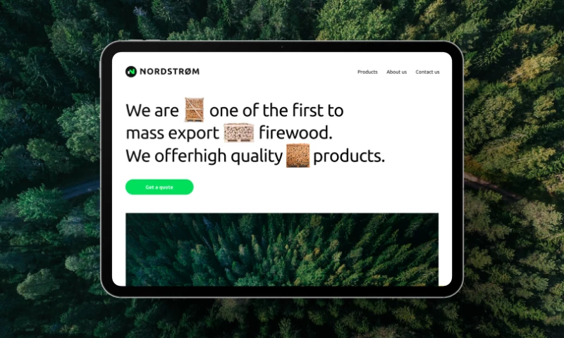 Lepshey - Branding and Corporate Website for Nordstrom
