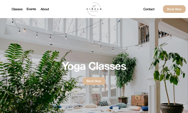 My Website Online - The Circle