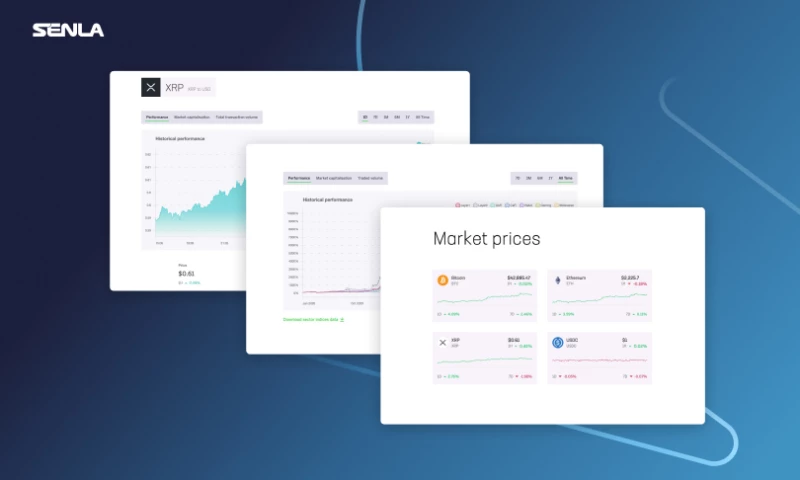 SENLA - Crypto bank transformed with innovative software