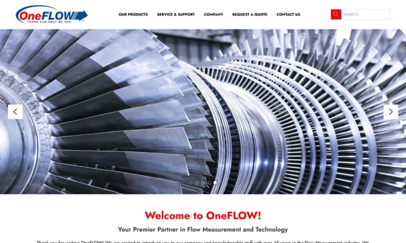 Duck Soup E-Commerce - OneFlow Website Launch