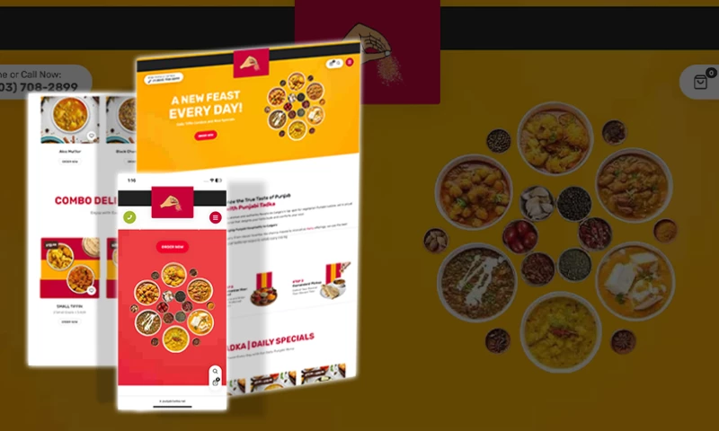 Digital Hive Solutions - Website for Punjabi Tadka Tiffin Services