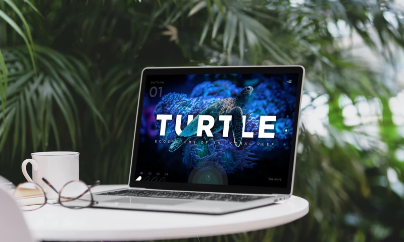 Studio Jukes - Ecosystems of the Coral Reef