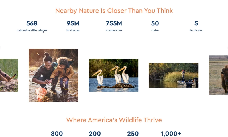 Small Projects Bureau Development LLC - Americas Wildlife Refuges