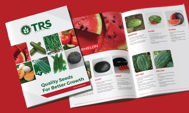 Brochure design for TRS Seeds - A leading agricultural seed suppliers
