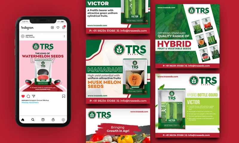 Social media post design for TRS Seeds - A leading agricultural seed suppliers