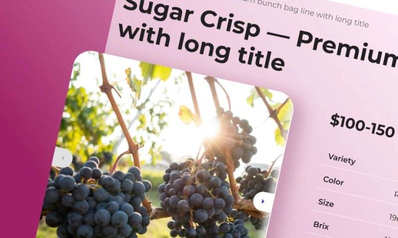 Faster Than Light - Fruit Retailing Web Portal