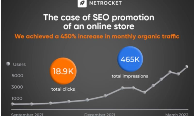 Netrocket - The case of SEO promotion of an online store