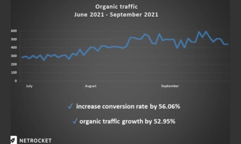 Netrocket - SEO-promotion of an online store