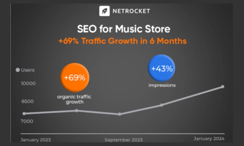 Netrocket - SEO Promotion for Music Store