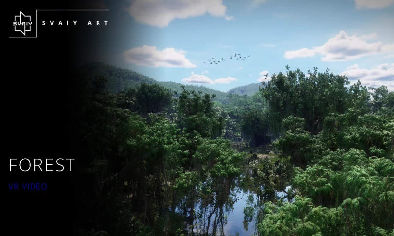 SVAIY ART INDUSTRIES - Forest | VR Video