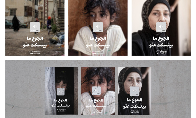 Digital Echoes - Lebanese Food Bank - Marketing Strategy