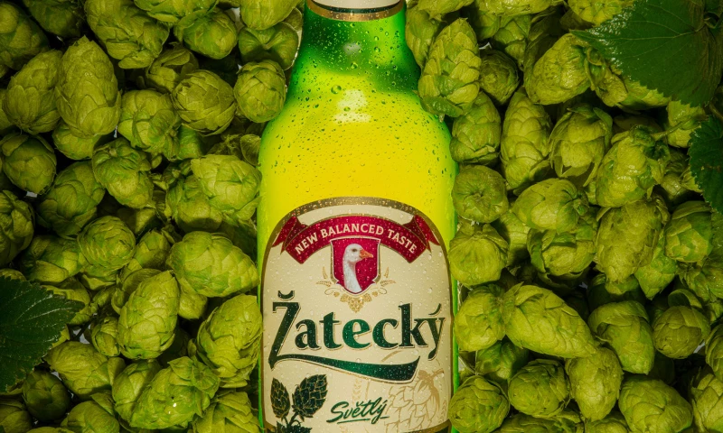 The Story Behind the New Zatecký Identity