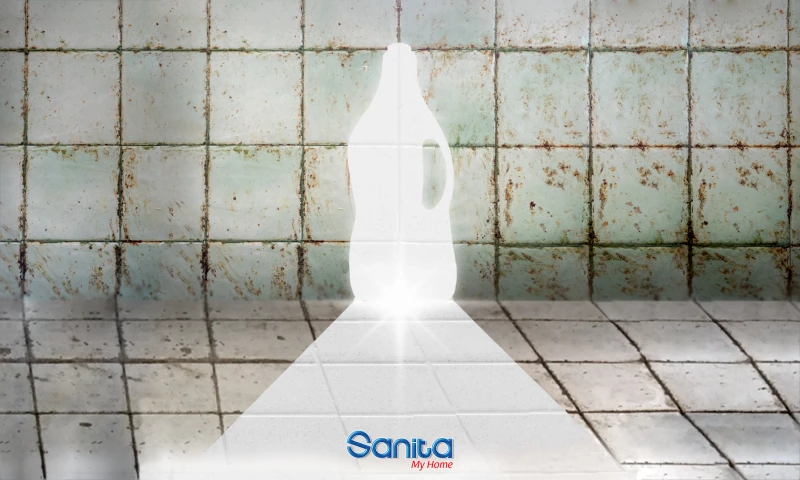 Sanita - Social Media Marketing